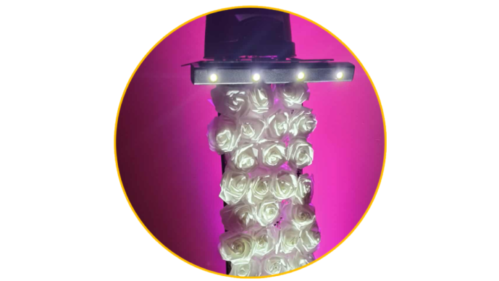 Witte Rozen - upgrade